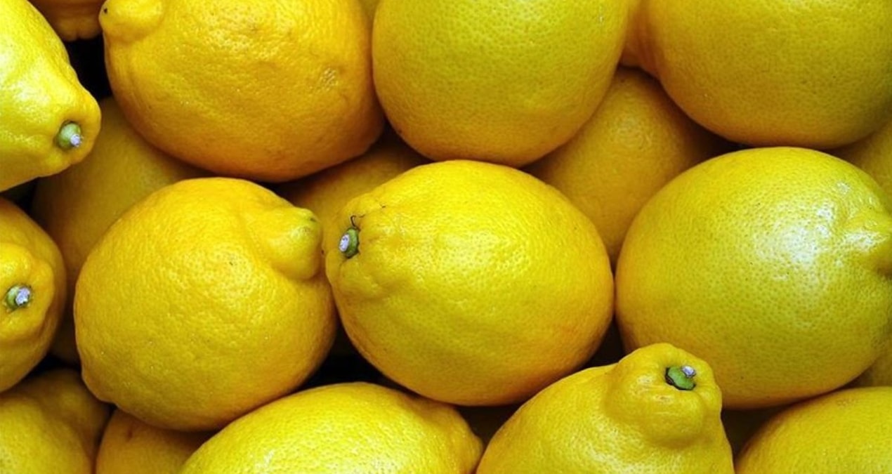 Limon fiyatlarında makas 10 katı aştı